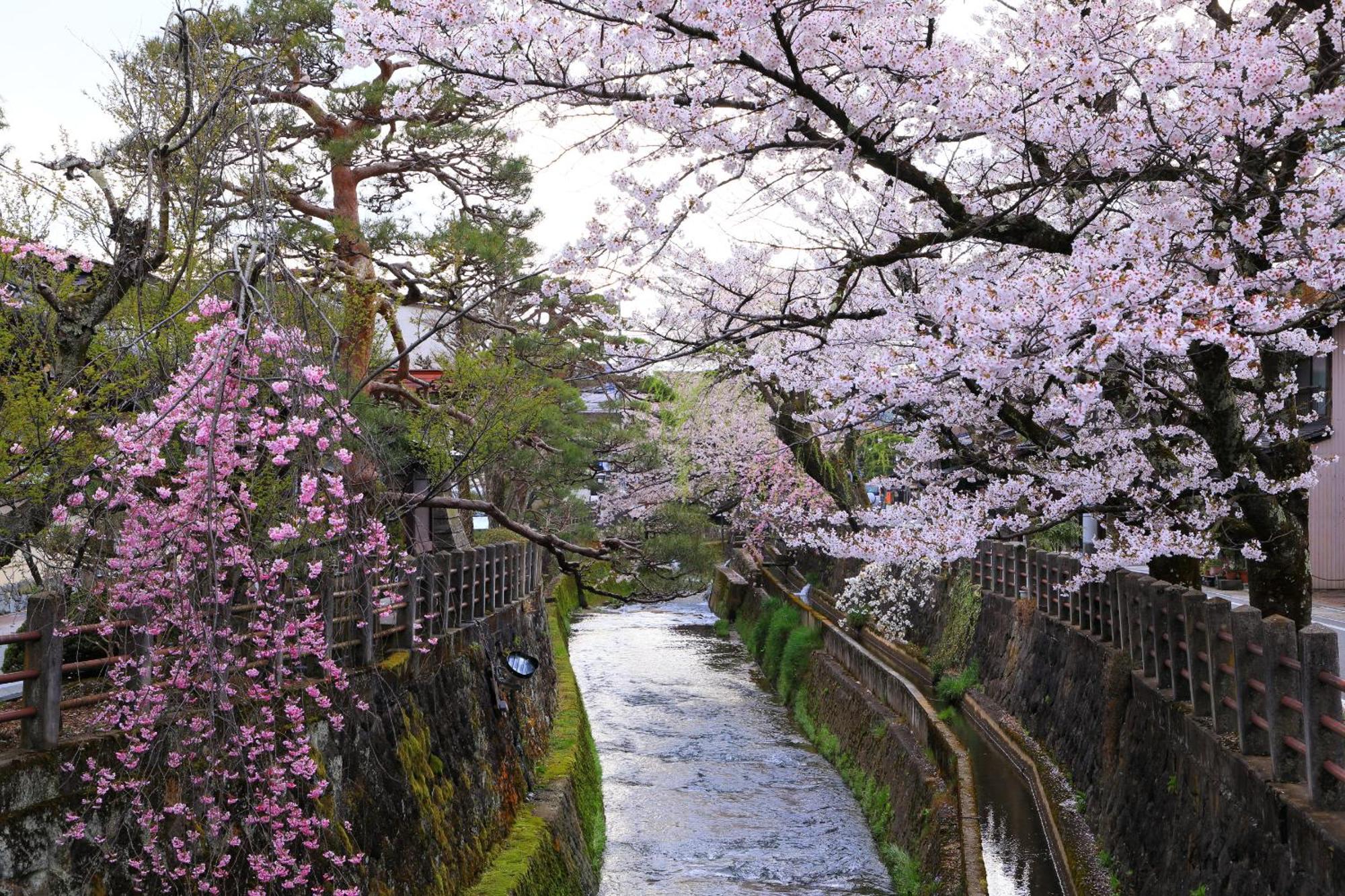 Rikka Fukiya Apartment ทาคายาม่า ภายนอก รูปภาพ